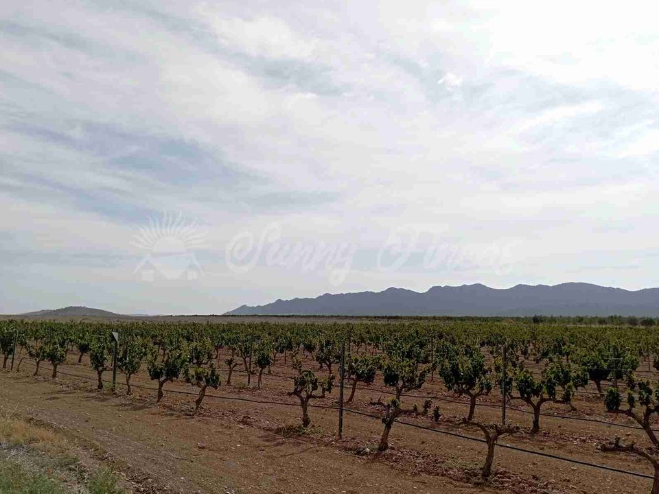 Finca i Yecla, Murcia - foto 1